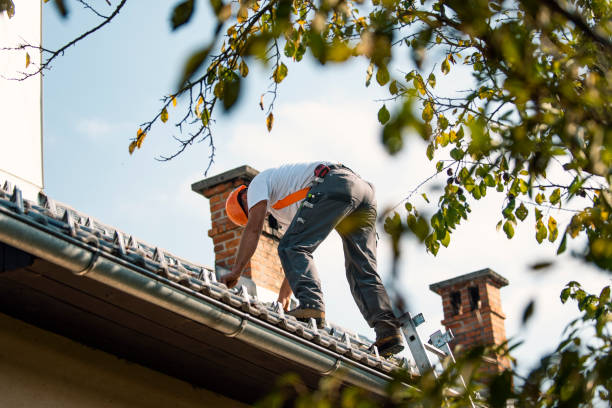 Roof Coating Services in Wooster, AR